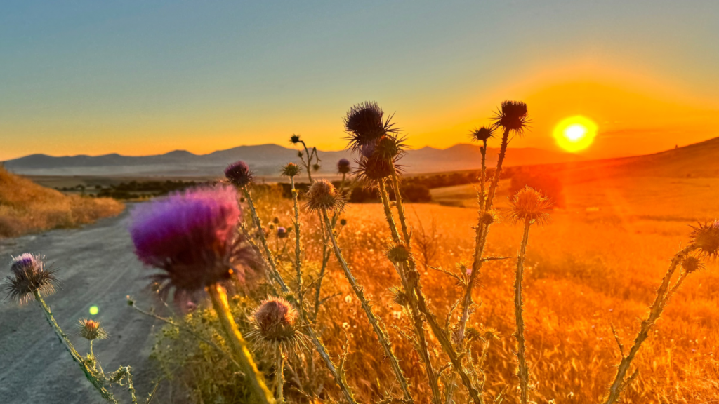 fotos newsletter im richtigen format 1920x 1080 px) 1