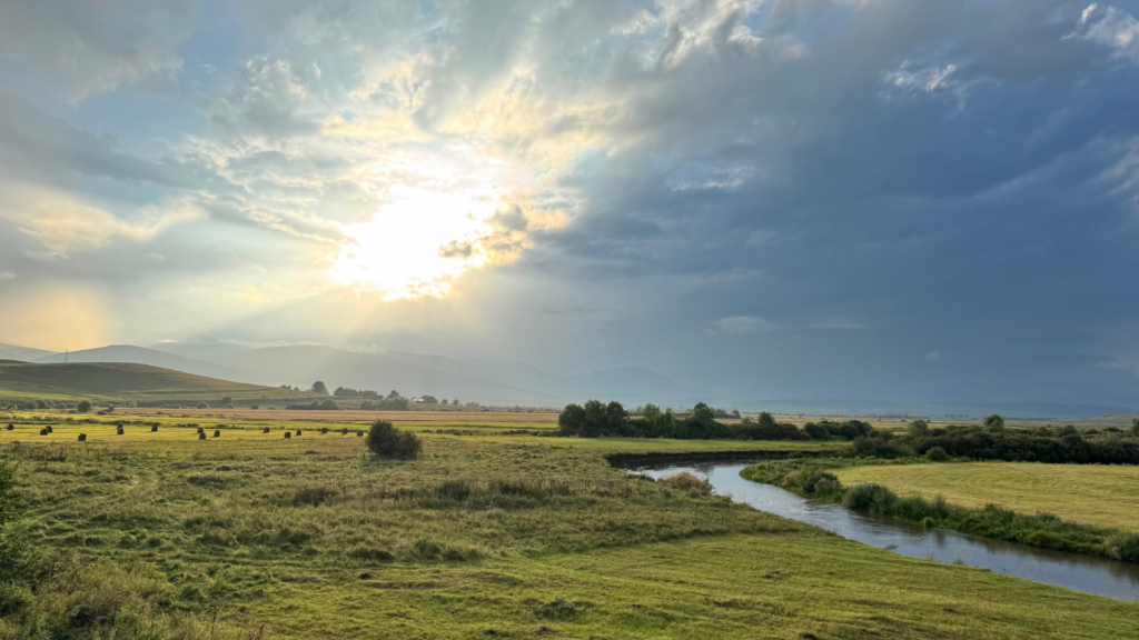 fotos newsletter im richtigen format 1920x 1080 px) 4